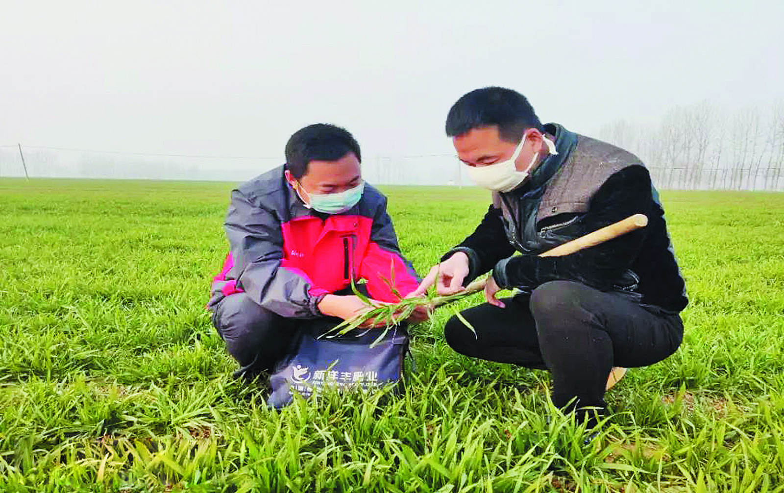 s_meitu_26.jpg s_meitu_26.jpg