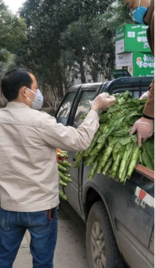 熊洲.png 熊洲.png