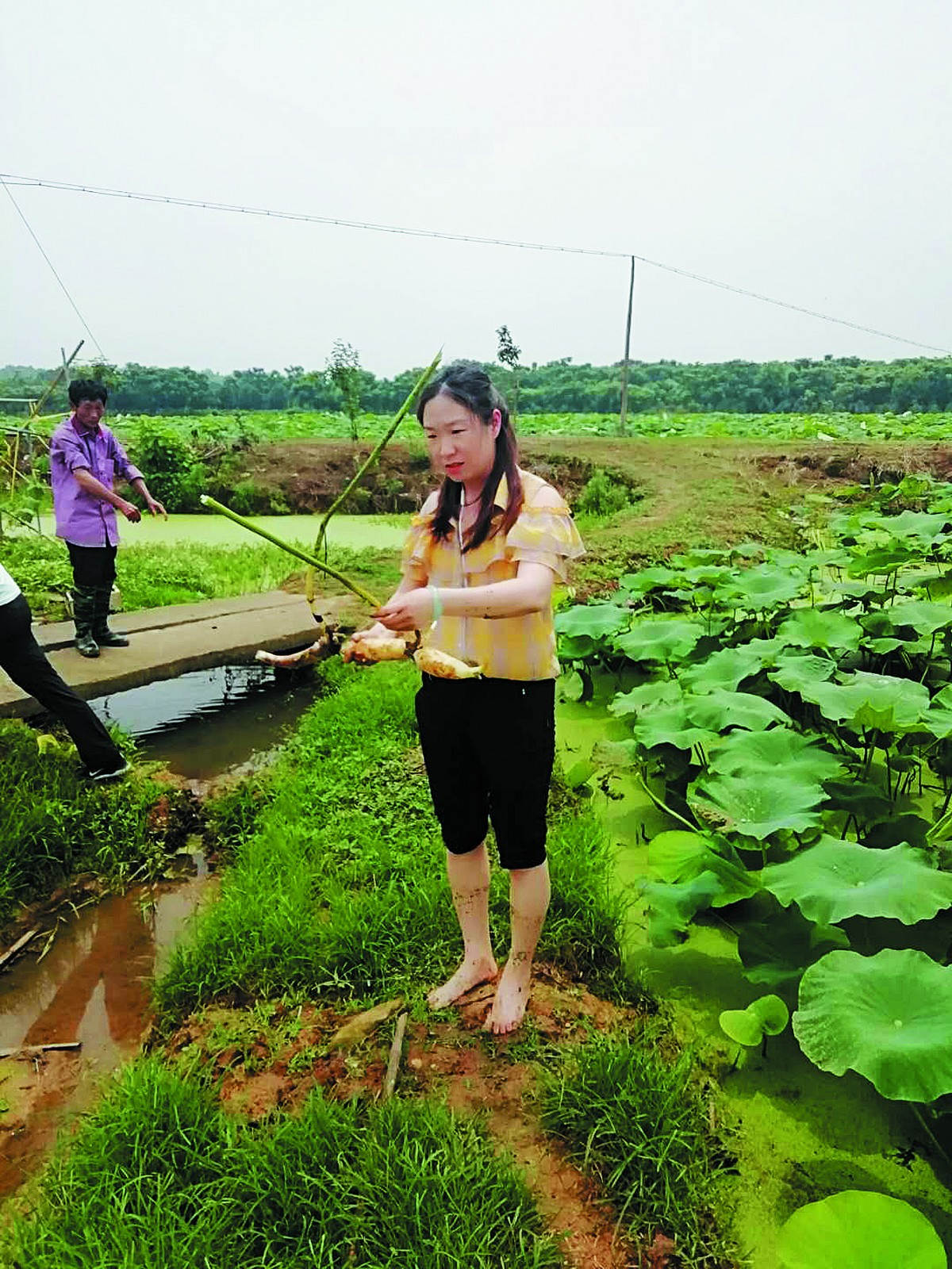 2康婷婷在藕塘s_meitu_2.jpg 2康婷婷在藕塘s_meitu_2.jpg