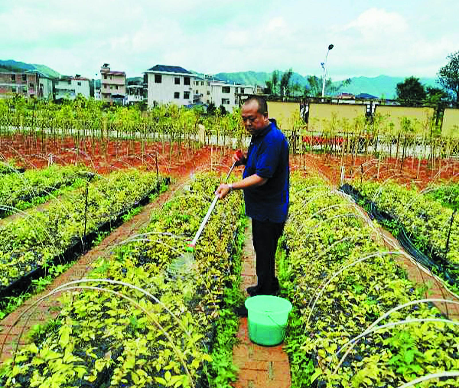 许克田在示范基地喷施叶面肥_meitu_6.jpg
