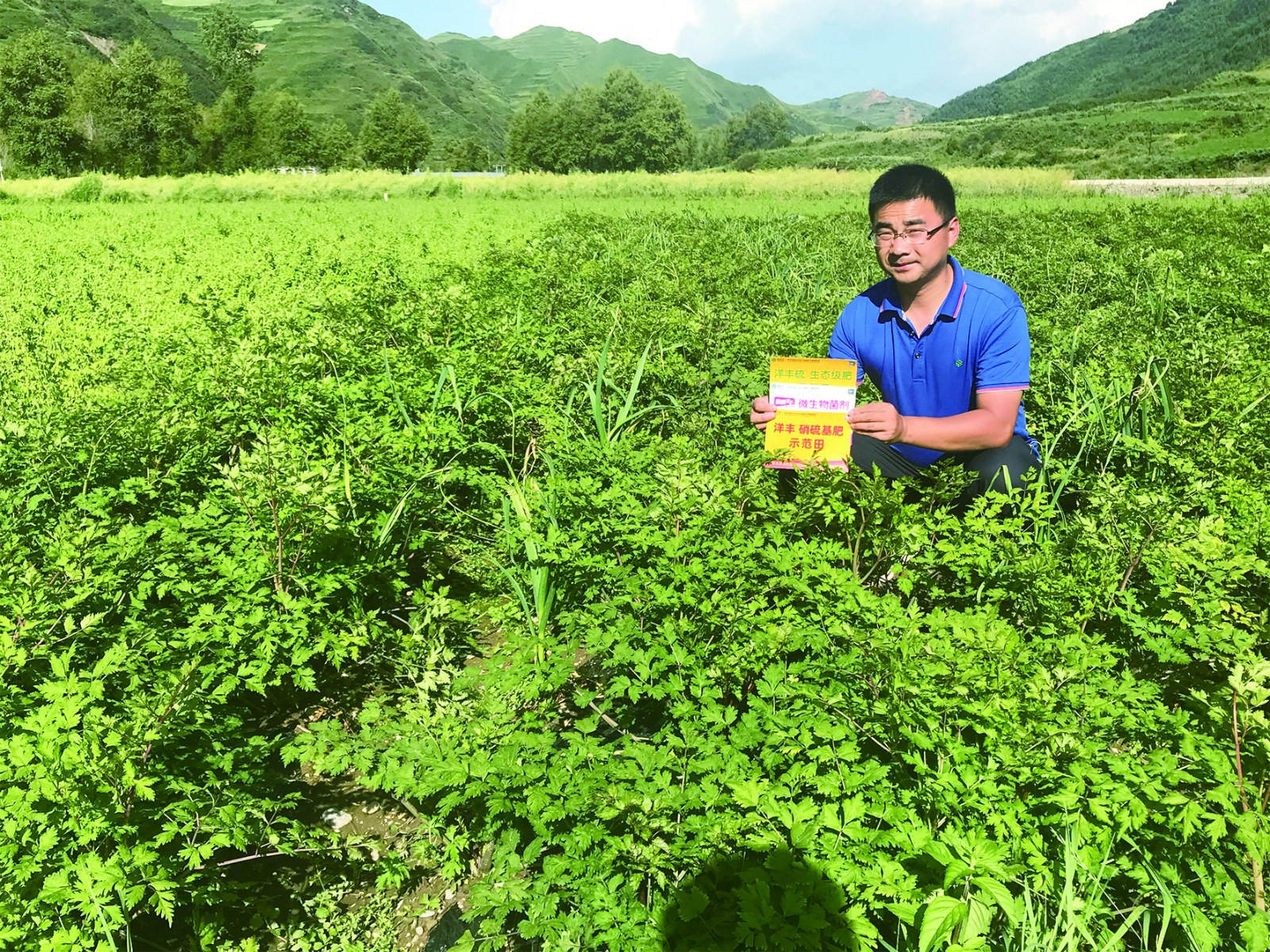 示范田整体长势10版_meitu_9.jpg 示范田整体长势10版_meitu_9.jpg