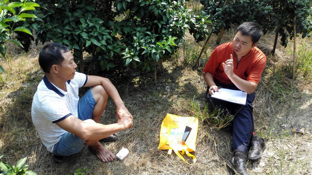广西荔浦县砂糖橘种植施肥技术调研.jpg