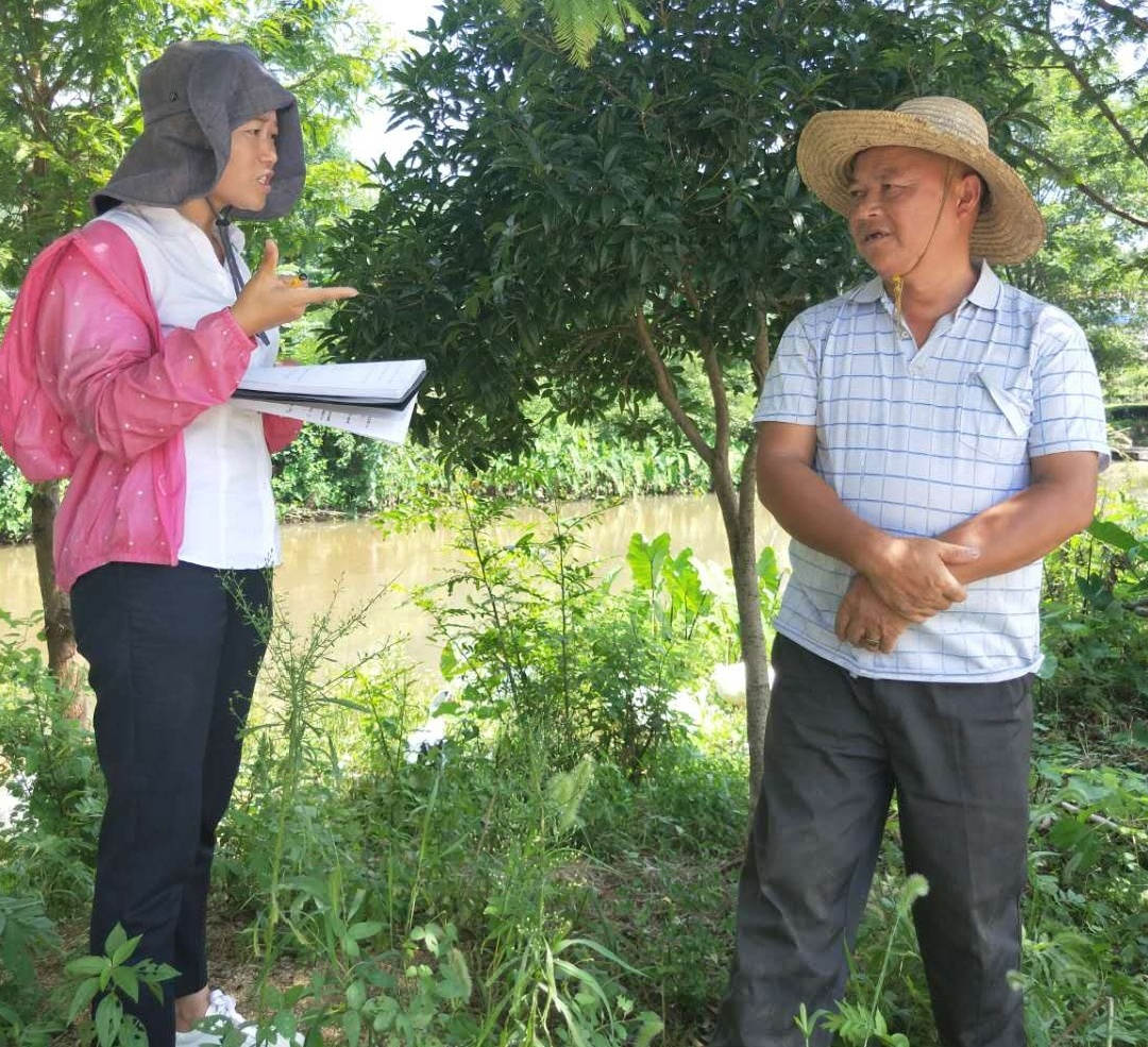 邓松华在湖北英山茶叶基地 (2).jpg 邓松华在湖北英山茶叶基地 (2).jpg