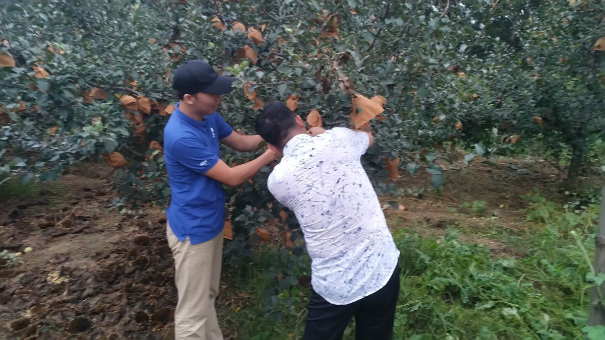 微信图片_20200821093214.jpg 微信图片_20200821093214.jpg