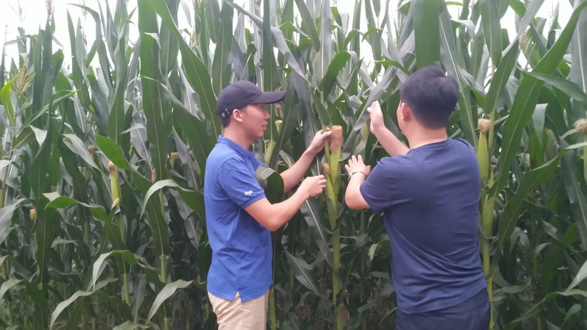 微信图片_20200821093224.jpg 微信图片_20200821093224.jpg