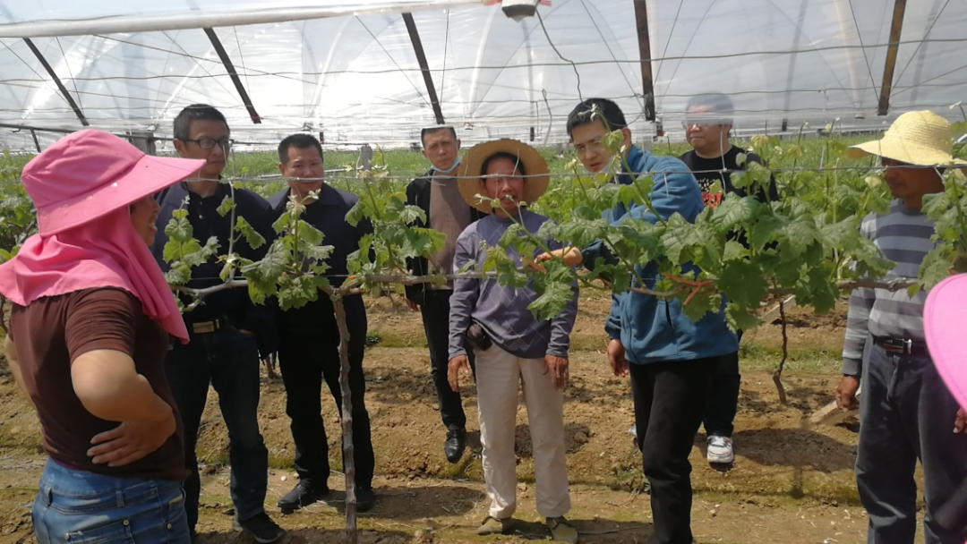 微信图片_20200901082838.png 微信图片_20200901082838.png