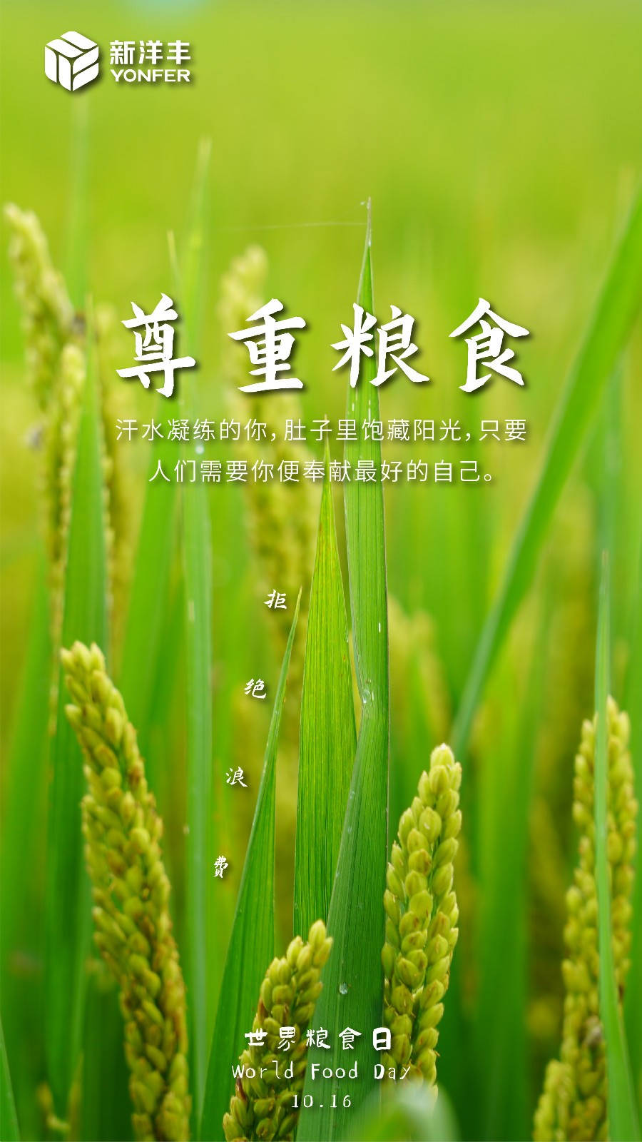 世界粮食日海报12_画板 1_meitu_2.jpg