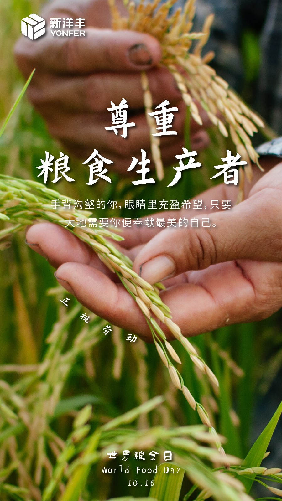 世界粮食日海报12-02_meitu_3.jpg
