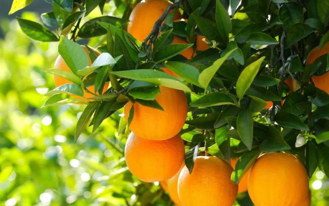 图片3.png 图片3.png