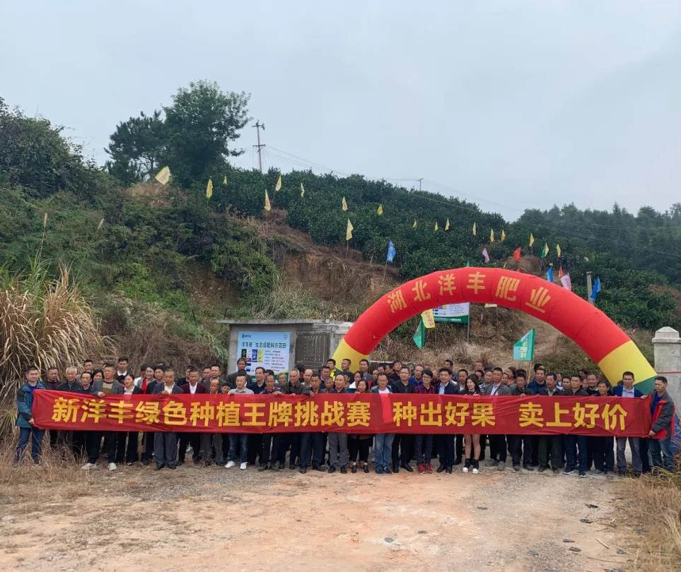 图片4.png 图片4.png