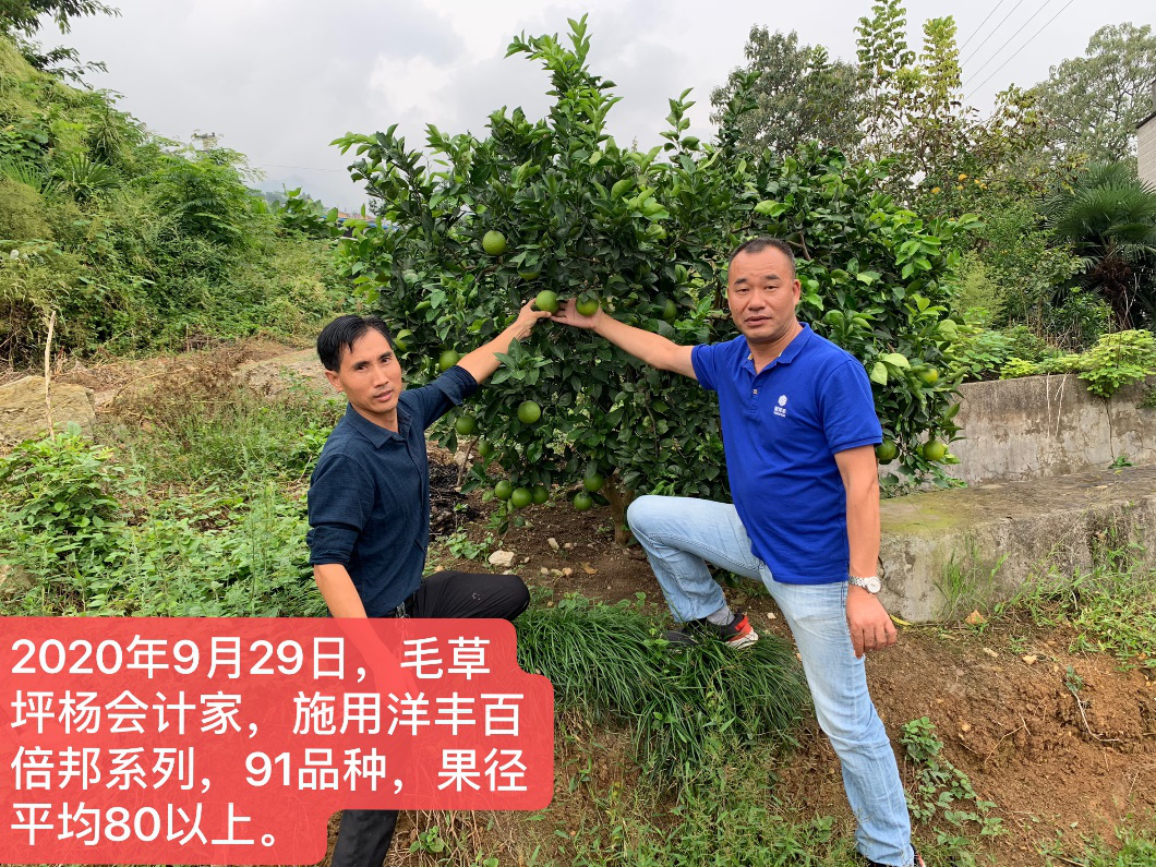 图片4.png 图片4.png