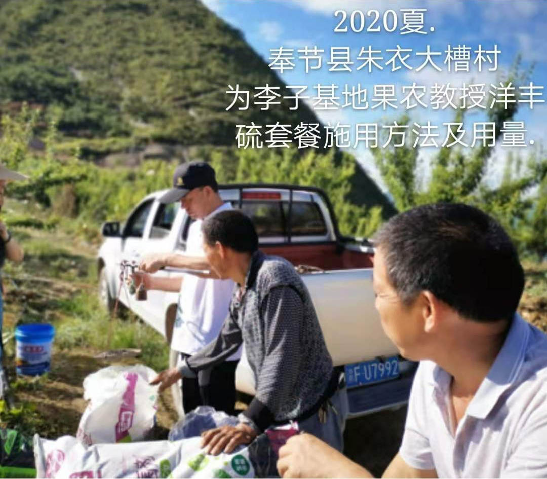 图片5.png 图片5.png