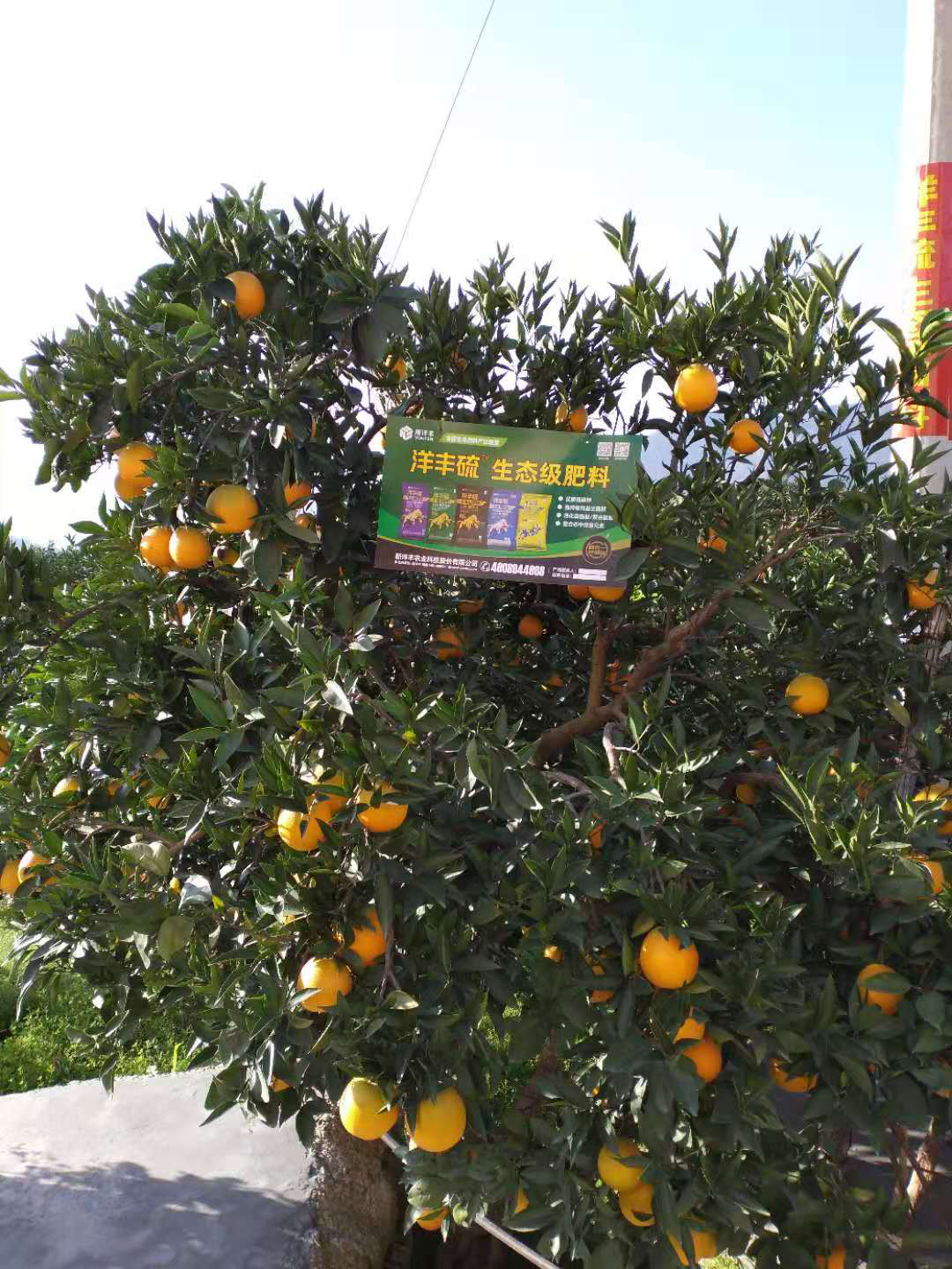 图片6.png 图片6.png