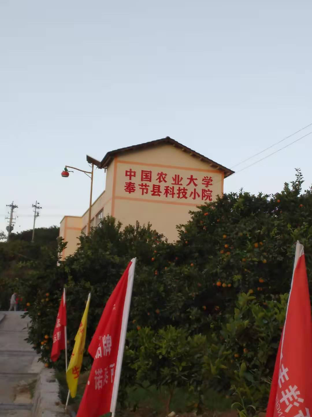 图片8.png 图片8.png