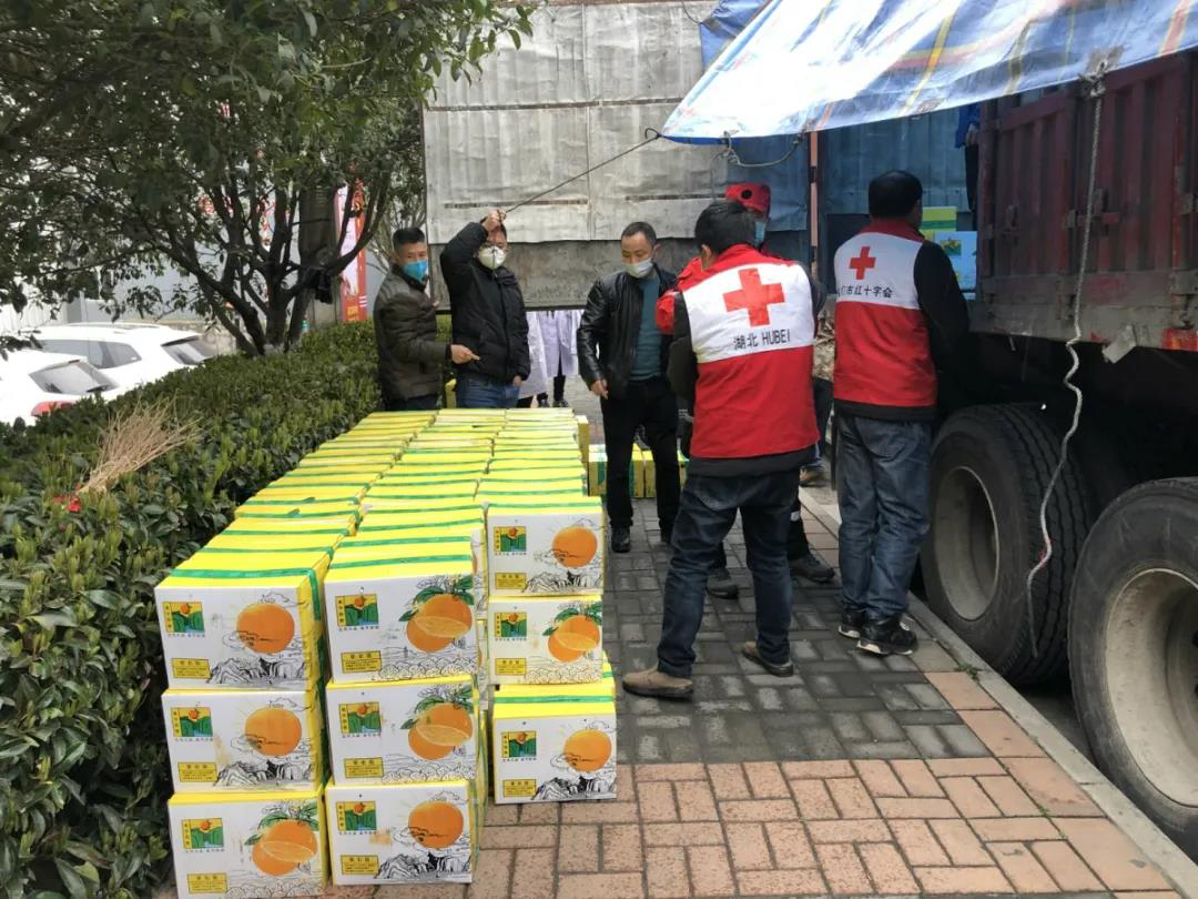 图片9.png 图片9.png