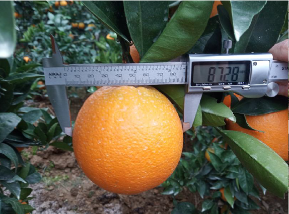 图片5.png 图片5.png