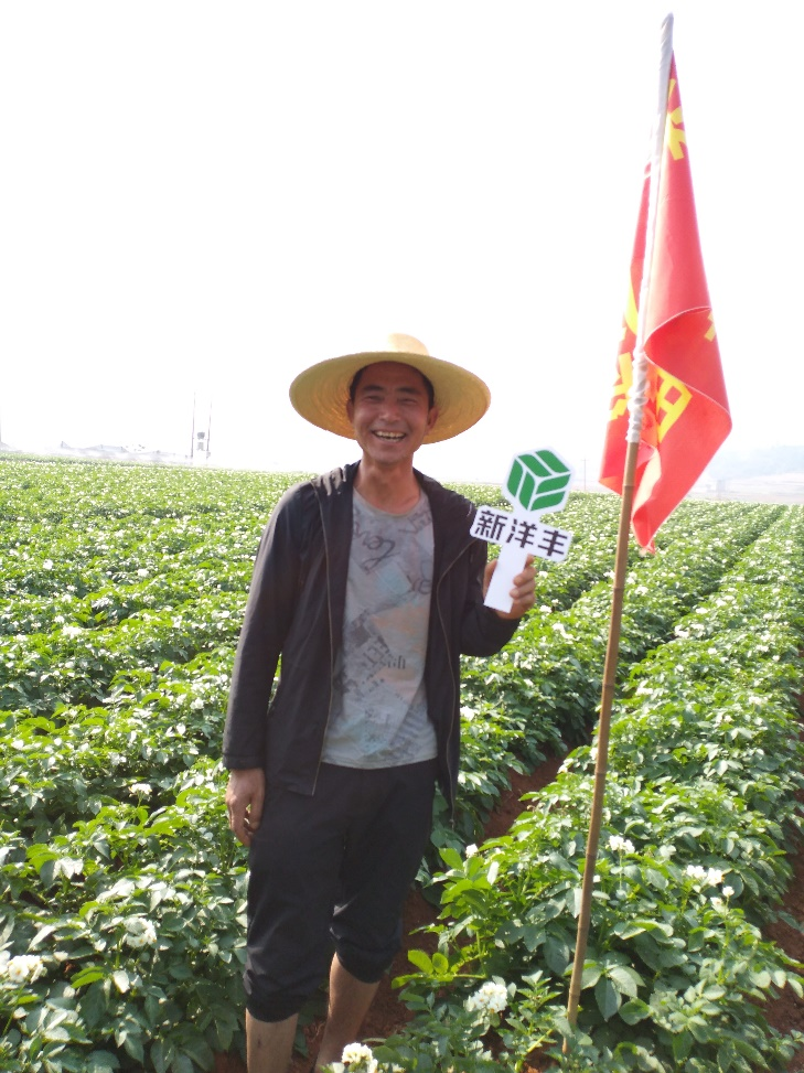 图片4.png 图片4.png