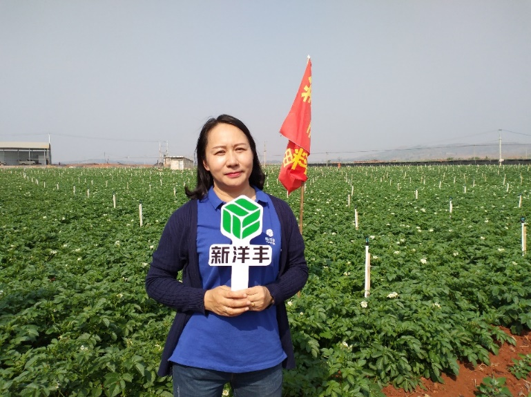 图片3.png 图片3.png