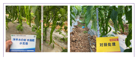 微信截图_20210507172836.png 微信截图_20210507172836.png