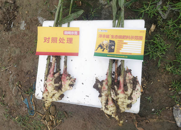 微信图片_20210512103920_副本.jpg 微信图片_20210512103920_副本.jpg