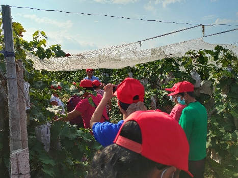 李飞部长带领农户现场参观1.jpg 李飞部长带领农户现场参观1.jpg