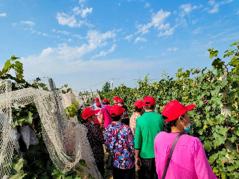 李飞部长带领农户现场参观2.jpg 李飞部长带领农户现场参观2.jpg