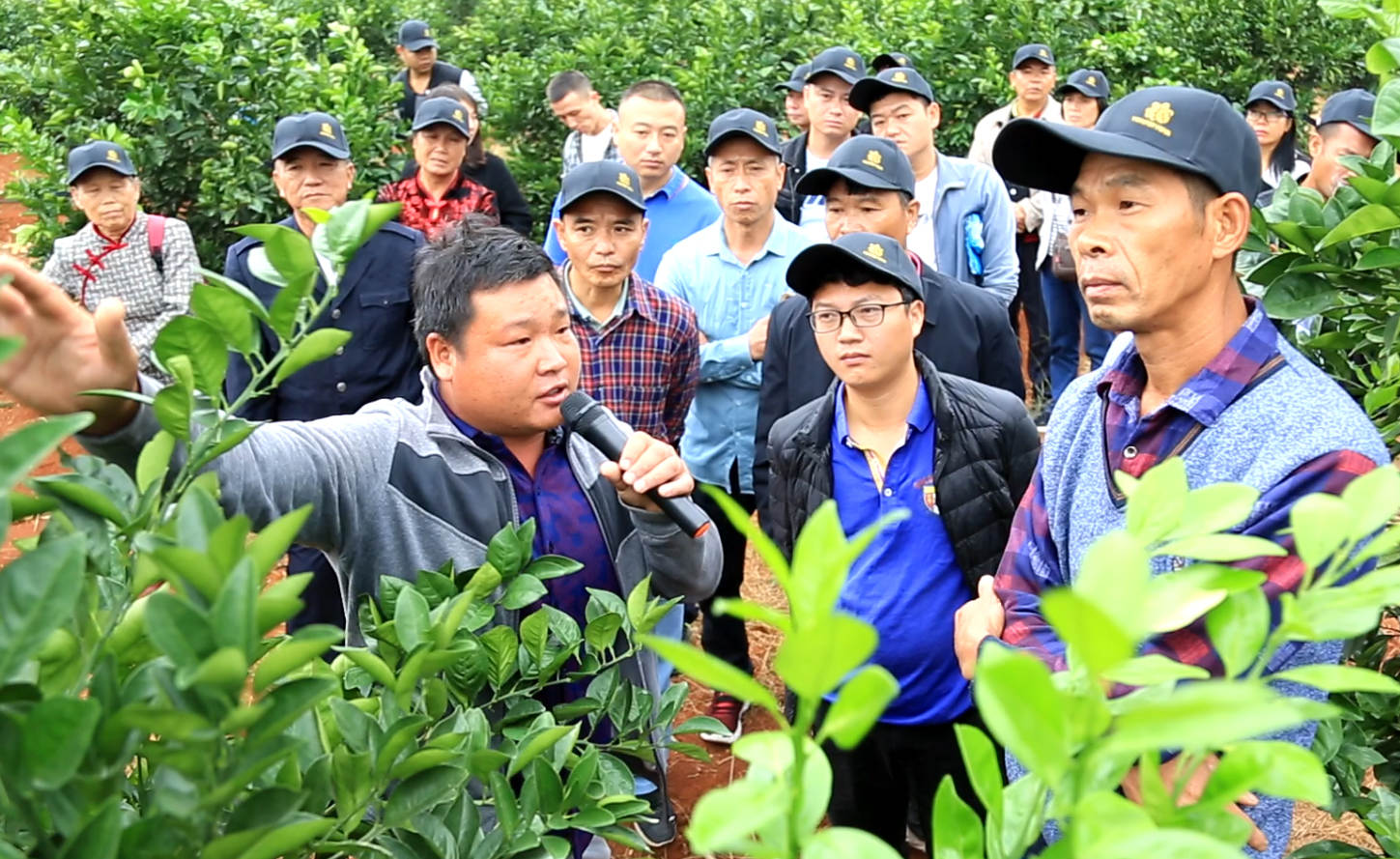 景元农旅技术总监康敦彬老师为农户讲解种植技术.jpg