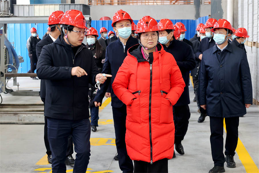 王玲（前排中）带队视察威廉希尔500欧洲指数磷石膏绿色建材产业园.jpg