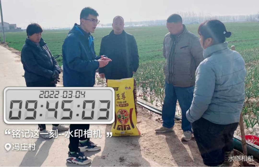 3月4日,跟踪布置洋丰至尊示范田块.jpg