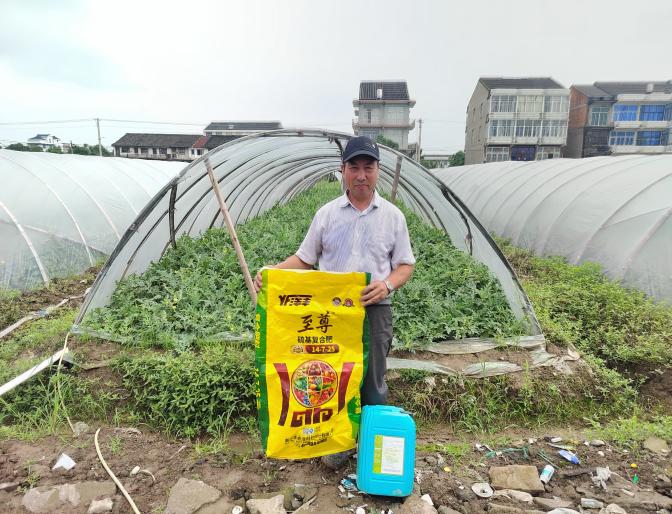 洋丰至尊葡萄、西瓜示范施肥现场照片2.jpg 洋丰至尊葡萄、西瓜示范施肥现场照片2.jpg