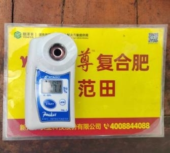 示范葡萄肩部果糖度比对照高0.6度 1.jpg 示范葡萄肩部果糖度比对照高0.6度 1.jpg