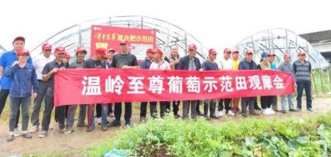 洋丰至尊葡萄观摩会现场照片.jpg 洋丰至尊葡萄观摩会现场照片.jpg