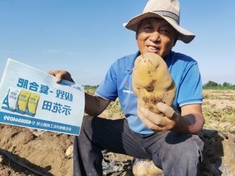 种植户展示土豆.jpg 种植户展示土豆.jpg