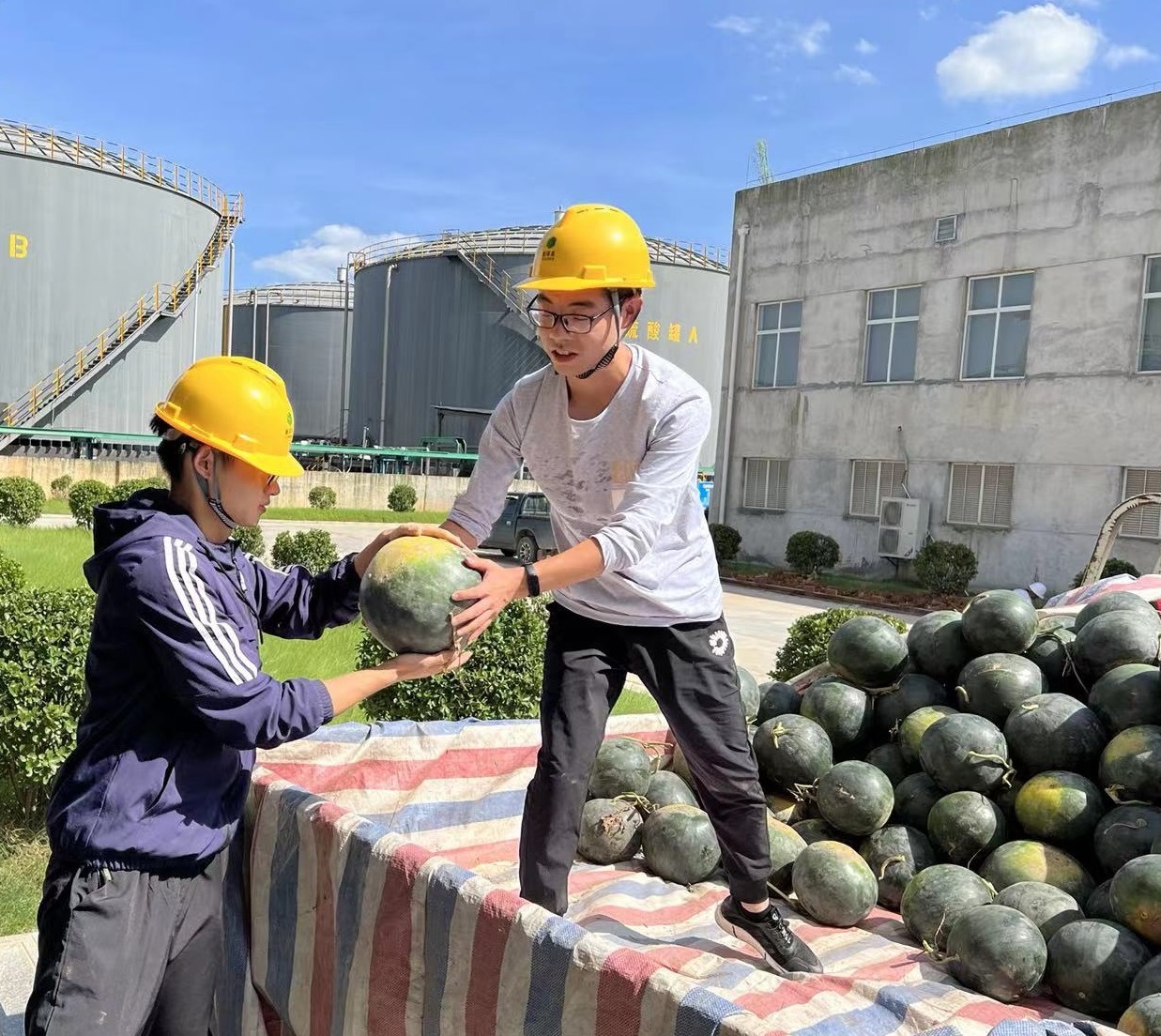 宜昌威廉希尔500欧洲指数为职工准备西瓜.jpg 宜昌威廉希尔500欧洲指数为职工准备西瓜.jpg