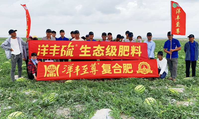 图片1合影_副本.jpg 图片1合影_副本.jpg