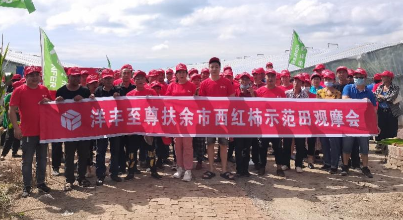 图6 8月15日洋丰至尊番茄示范田观摩会合影.jpg