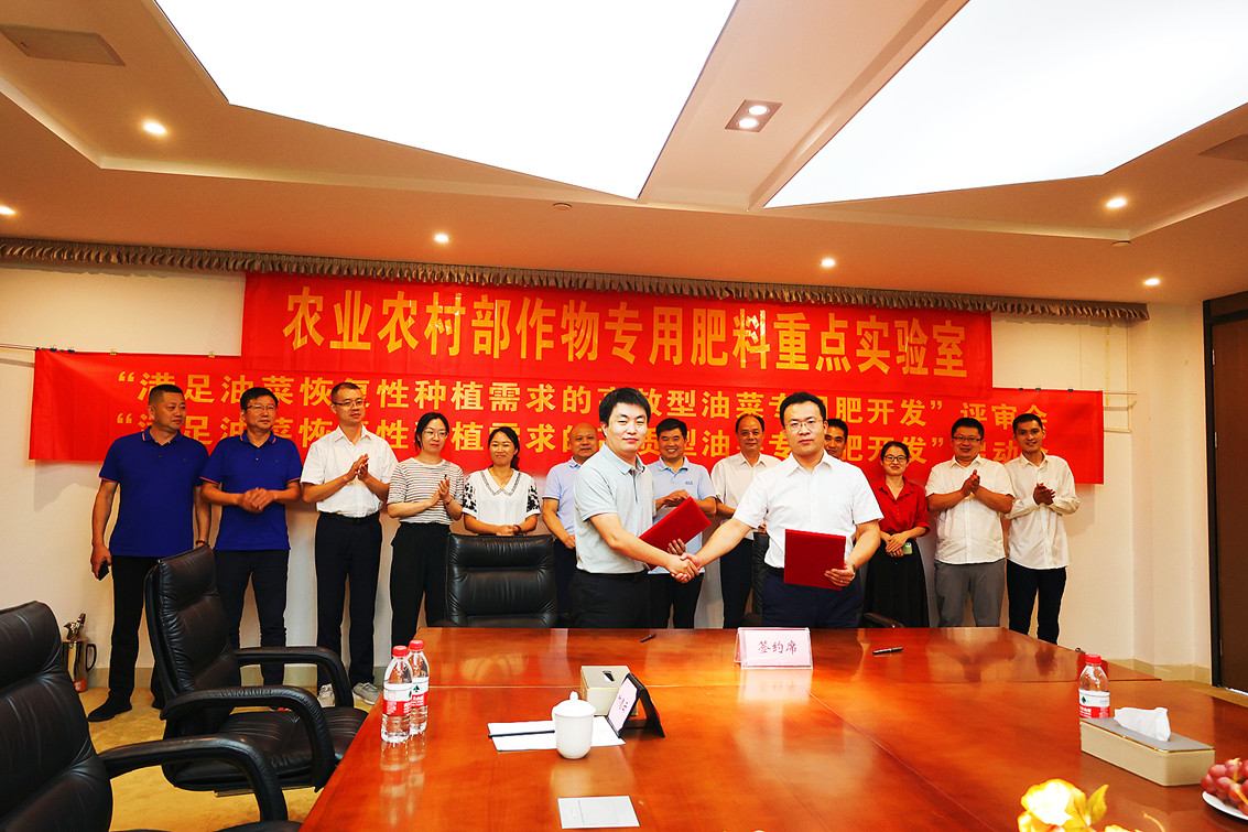 从“高效型”向“高质型”转变,油菜专用肥开发开启新篇章.jpg 从“高效型”向“高质型”转变,油菜专用肥开发开启新篇章.jpg