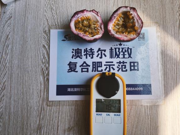示范田果实甜度.jpg 示范田果实甜度.jpg