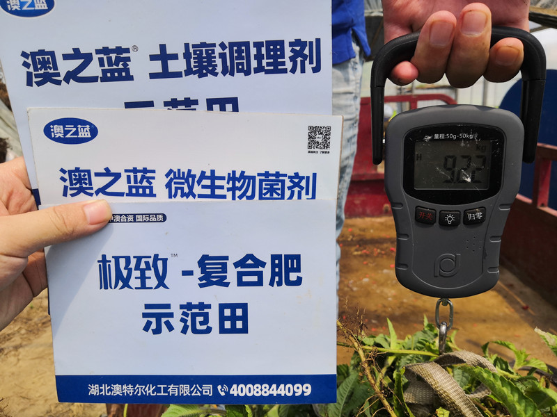 示范田称重_副本.jpg 示范田称重_副本.jpg