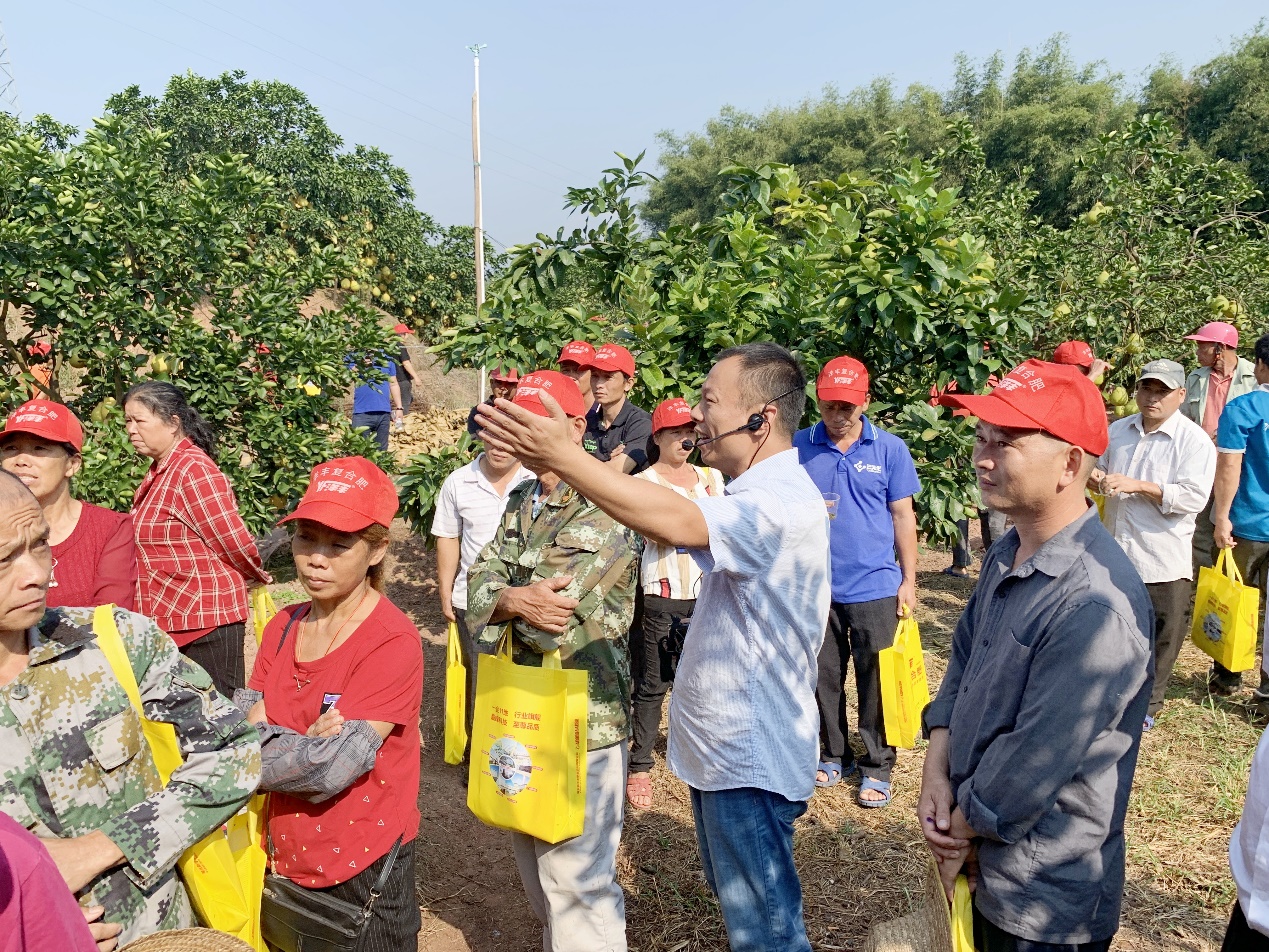 威廉希尔500欧洲指数西南大区总农艺师李家涛(中)在广西壮族自治区玉林市容县沙田柚示范观摩现场,为种植户做技术及效果讲解.jpg 威廉希尔500欧洲指数西南大区总农艺师李家涛(中)在广西壮族自治区玉林市容县沙田柚示范观摩现场,为种植户做技术及效果讲解.jpg