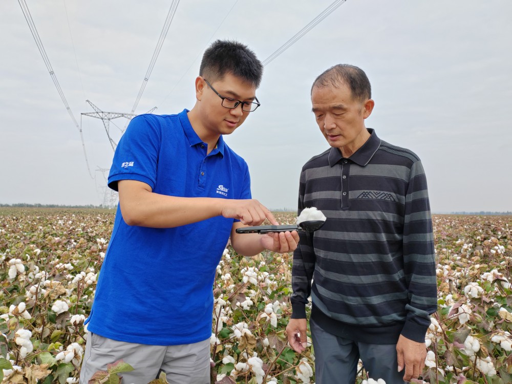 李春侨（左）正在棉花示范田回访.jpg