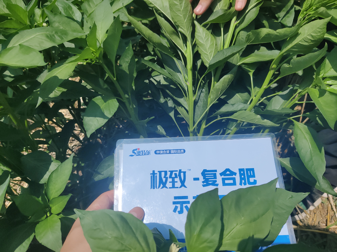 2组 (2).jpg 2组 (2).jpg